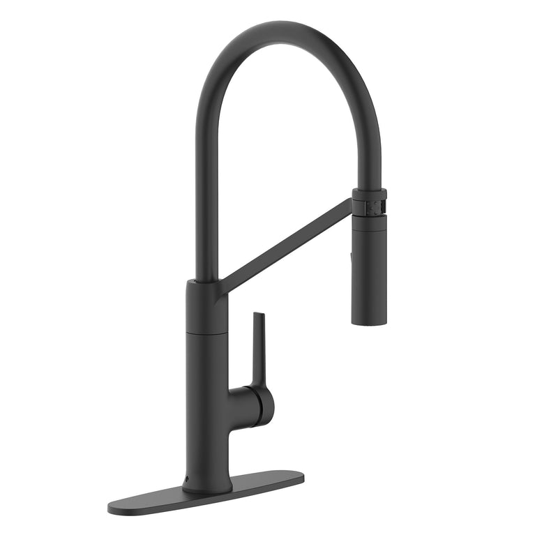 Tana 1-Handle Pull-Down Kitchen Faucet H7362