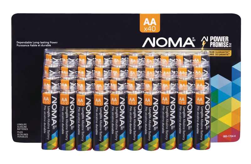 12-Volt 12 Ah SLA Battery E6006