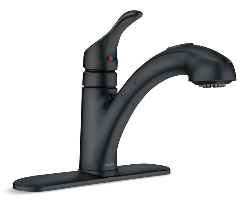 Renzo Single-Handle Pull-Out Kitchen Faucet, Matte Black K9876