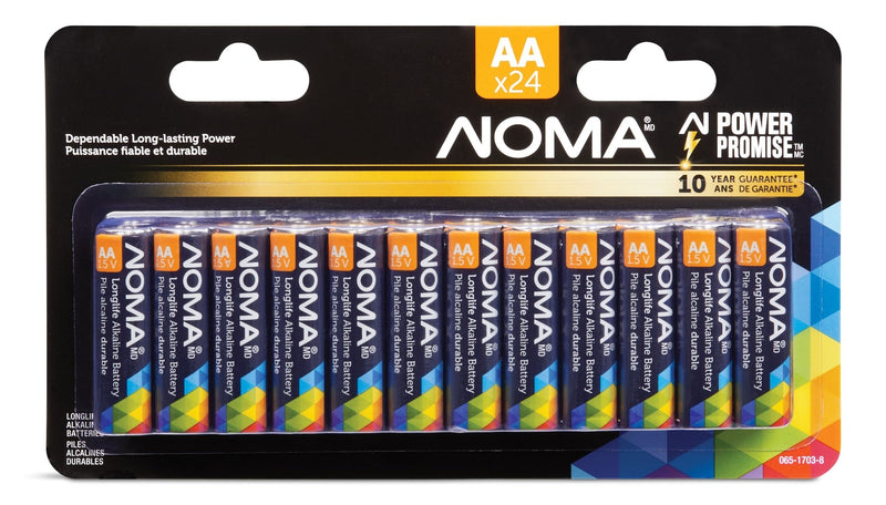 AA Alkaline Batteries, Long Lasting, All Purpose, 24-pk N6875