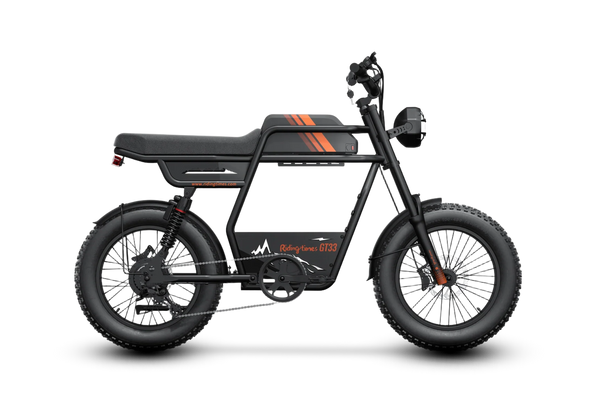 GT33 All-Terrain Cafe Racer Cargo Electric Bike C3429